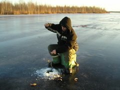 'В 'В