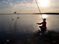 Росрыболовство уверило россиян, что возможность бесплатно ловить рыбу на удочку у них никто не отнимает Росрыболовство уверило россиян, что возможность бесплатно ловить рыбу на удочку у них никто не отнимает