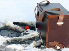 'Несмотря 'Несмотря