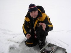 '«Силовики» '«Силовики»