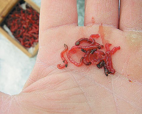 'Накануне 'Накануне