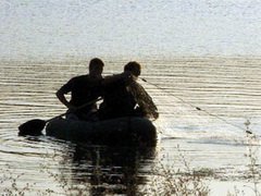 'Экологи 'Экологи