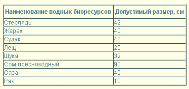 'Запрет 'Запрет