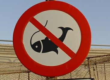 запрет на рыбалку в 2016 на море 2015 запрет на рыбалку в 2016 на море 2015