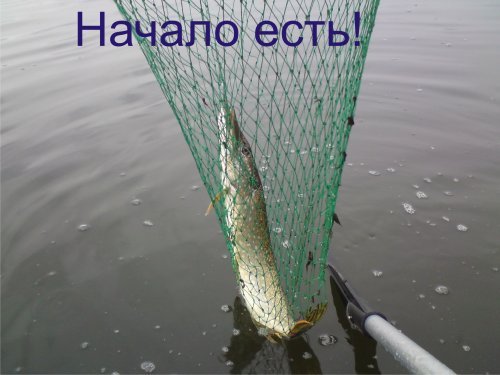 Дубовый остров - Мензелинский водозабор, совместный выезд клуба 16-18 сентября 2011год Дубовый остров - Мензелинский водозабор, совместный выезд клуба 16-18 сентября 2011год