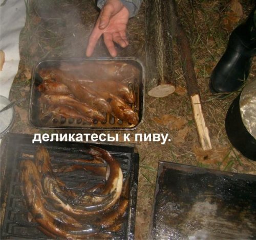 Дубовый остров - Мензелинский водозабор, совместный выезд клуба 16-18 сентября 2011год Дубовый остров - Мензелинский водозабор, совместный выезд клуба 16-18 сентября 2011год
