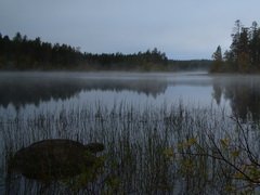 Цимлянское водохранилище стремительно высыхает Цимлянское водохранилище стремительно высыхает