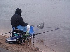 В Черновцах больше нельзя ловить рыбу В Черновцах больше нельзя ловить рыбу