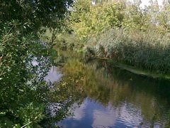 Рыбинспекторов поймали на браконьерстве на юге РФ Рыбинспекторов поймали на браконьерстве на юге РФ