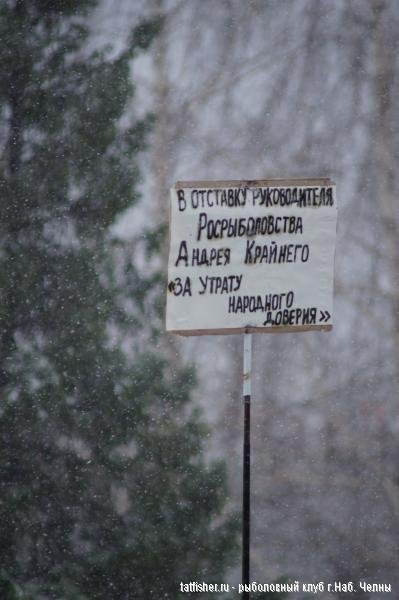 Итоги митинга в Набережных Челнах 20 ноября 2011 года Итоги митинга в Набережных Челнах 20 ноября 2011 года