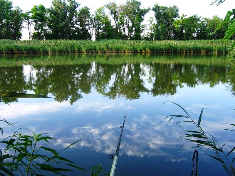 озеро Тетеево Татарстан