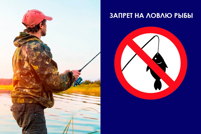 Запрет на рыбалку в 2020 в Татарстане