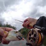 Нахлыстовая ловля для начинающих