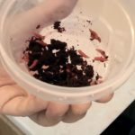 Как покрасить опарыша в разнообразные цвета