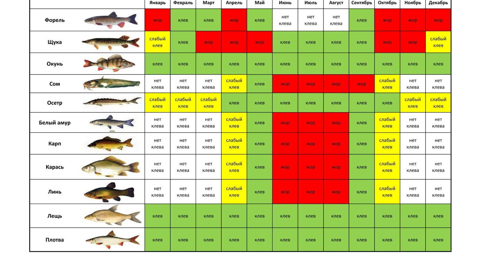 Календарь рыболова (прогноз клёва) - это миф или правда? Давайте подробно разберемся