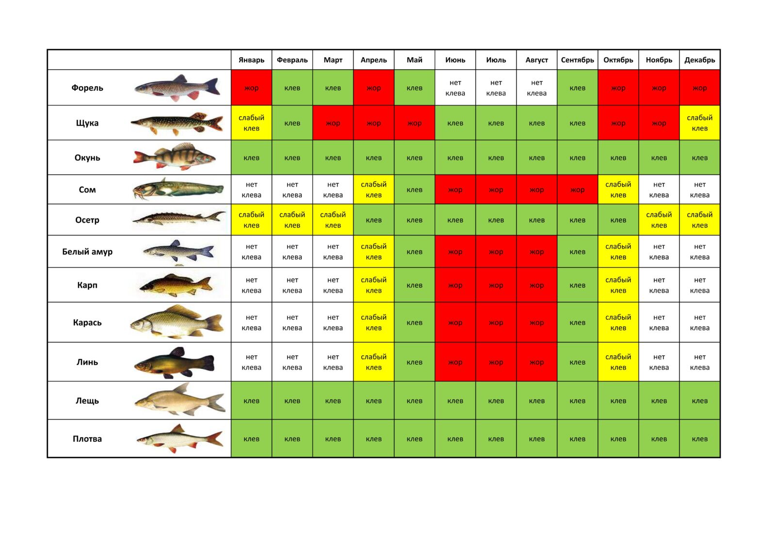 Календарь рыболова (прогноз клёва) - это миф или правда? Давайте подробно  разберемся - Рыболову на заметку на tatfisher.ru