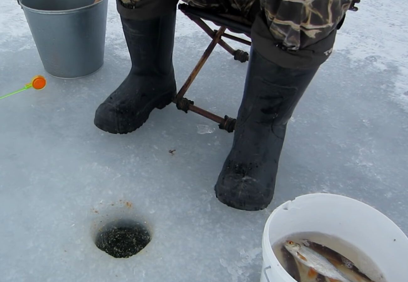 Знакомый рыбак подсказал рецепт супер уловистой зимней прикормки на плотву. Делюсь рецептом