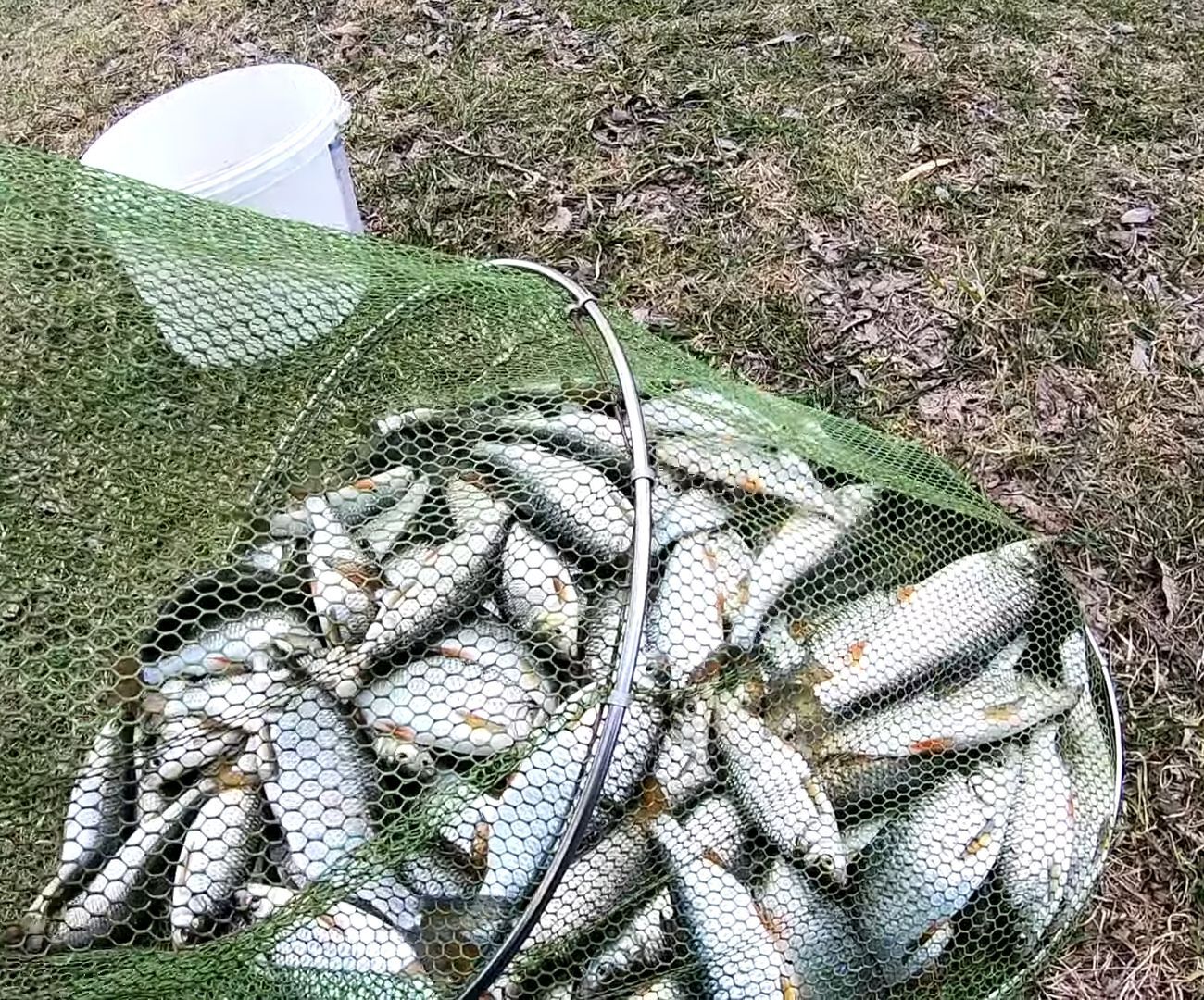 Рыбалка осенью