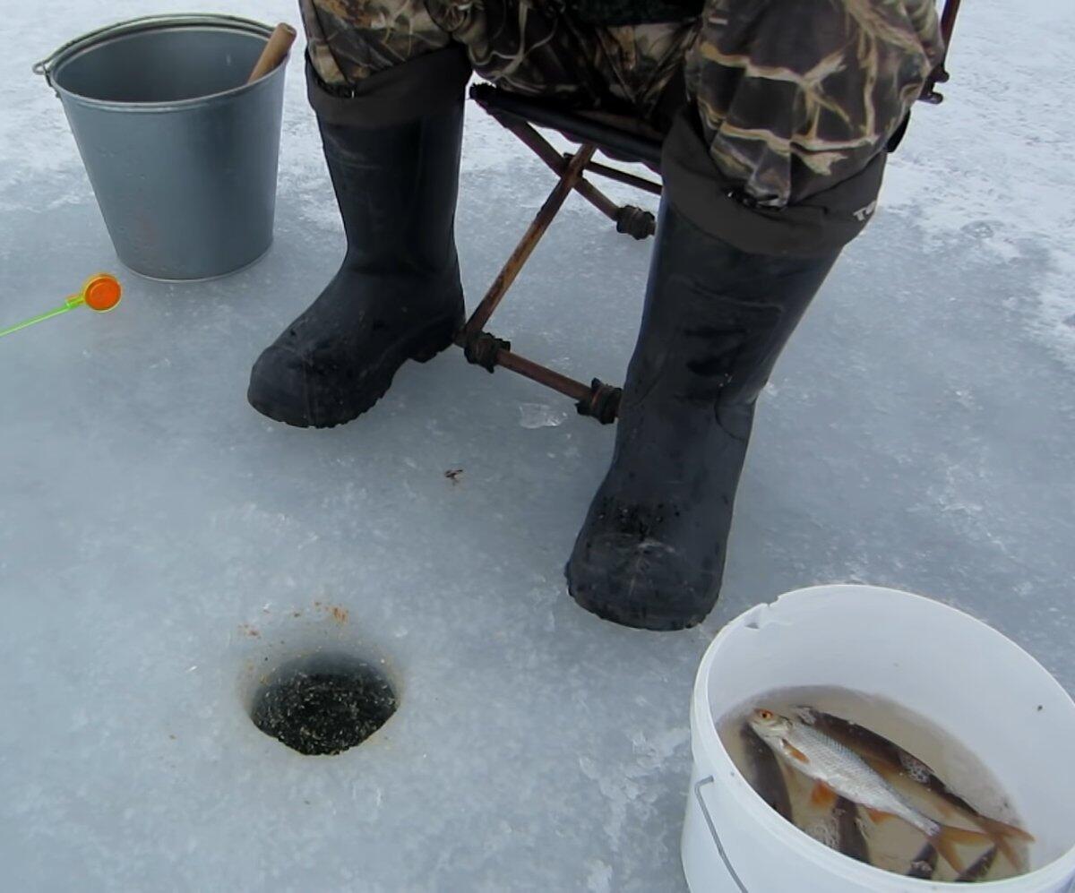 Универсальная зимняя прикормка на плотву: этот рецепт подойдет для ловли на озере или водохранилище
