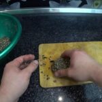 Уловистая насадка из макухи для пружины