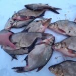 Зимой крупного леща ловлю только на эту прикормку, получается бюджетно и очень эффективно. Делюсь ре...